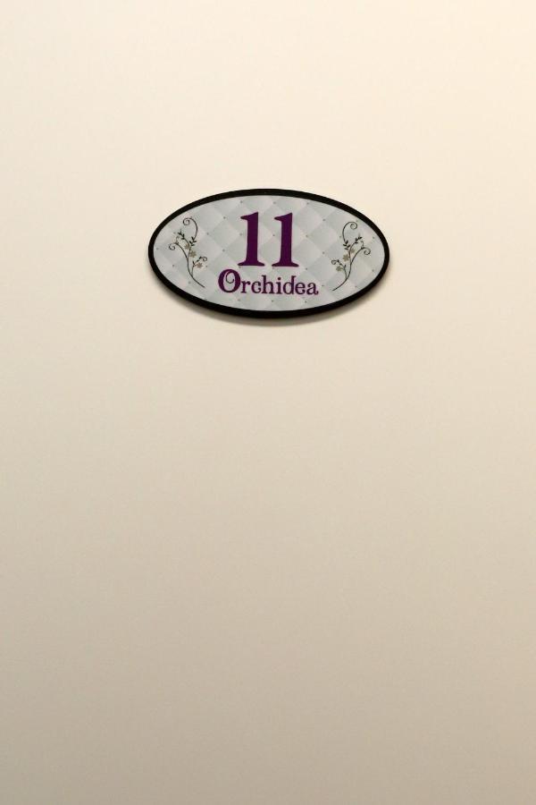 Orchidea Rooms & Suites 시비타노바 마르셰 외부 사진
